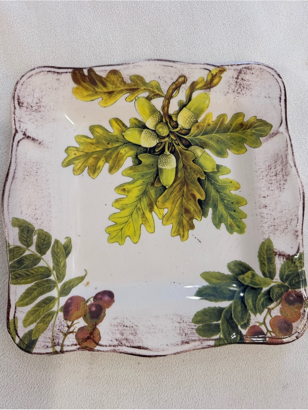 Sur La Table "Acorn & Fig" Square Ceramic Salad/Luncheon Plate Made in Italy EUC